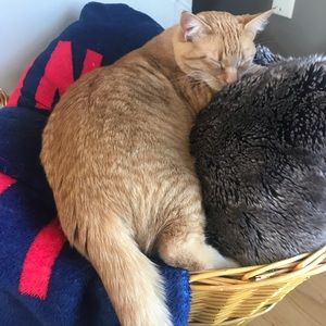 Meet your Posher, Kelly